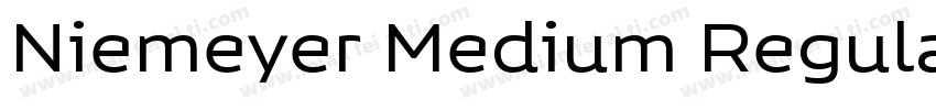 Niemeyer Medium Regular字体转换
